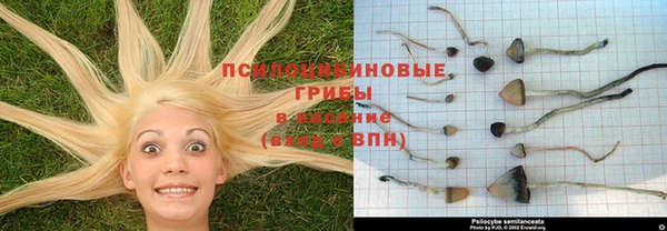 ECSTASY Алексин