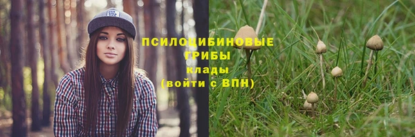 сатива Алексеевка