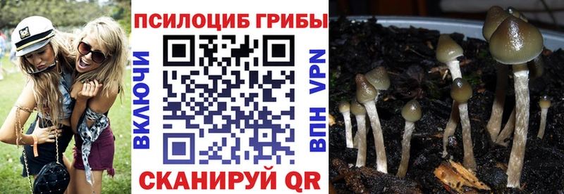 сколько стоит  Сибай  гидра ТОР  Галлюциногенные грибы прущие грибы 
